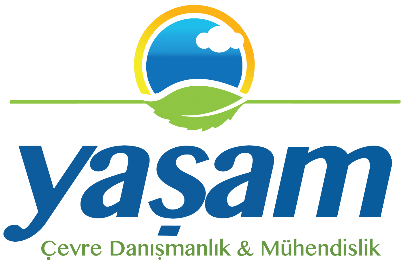 Firma İsmi